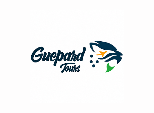 Guépard Tours